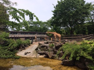 羽村市動物公園 (2)