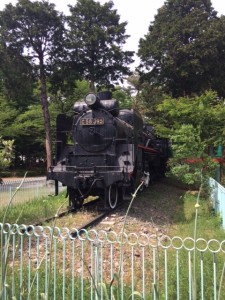 羽村市動物公園 (3)