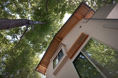 新築注文住宅・参道の緑を眺める家の写真